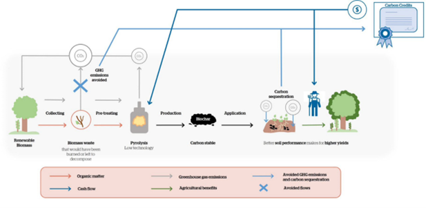 Biochar carbon credits image for reference